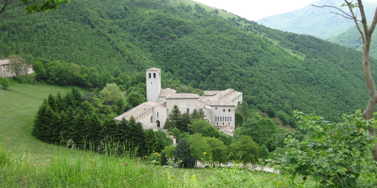 Madre Terra: per un’etica della condivisione. Custodiamo la foresta che ci custodisce